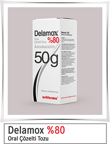 Delamox %80