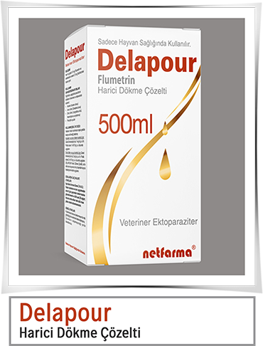 Delapour