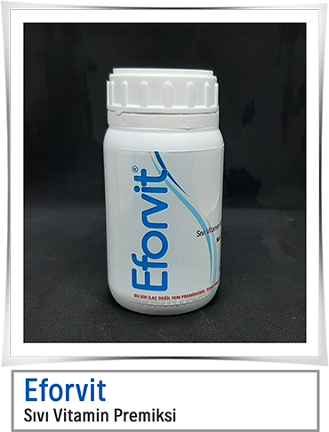 Eforvit