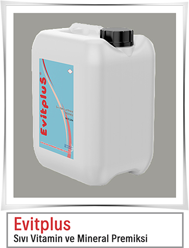 Evitplus