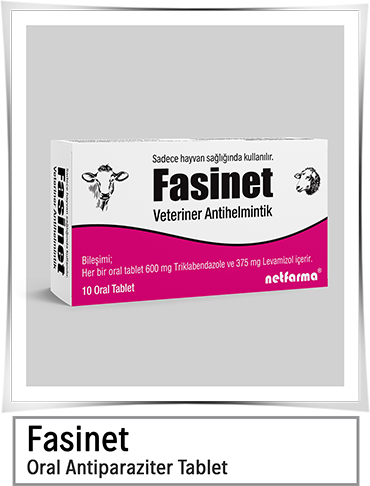 Fasinet
