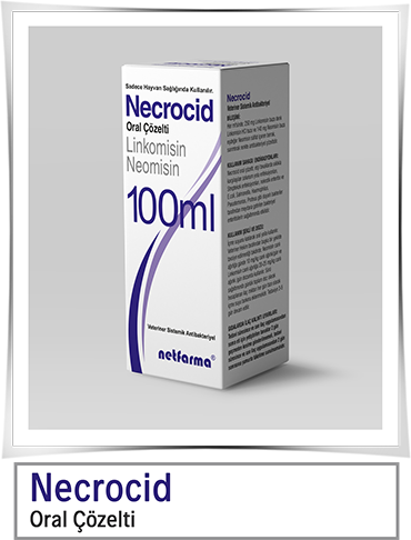 Necrocid