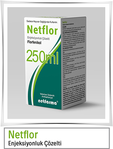 Netflor