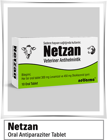 Netzan
