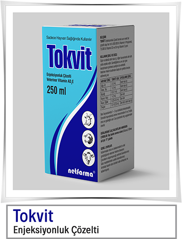 Tokvit